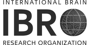 International Brain Research Organisation